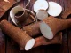 Cassava peels
